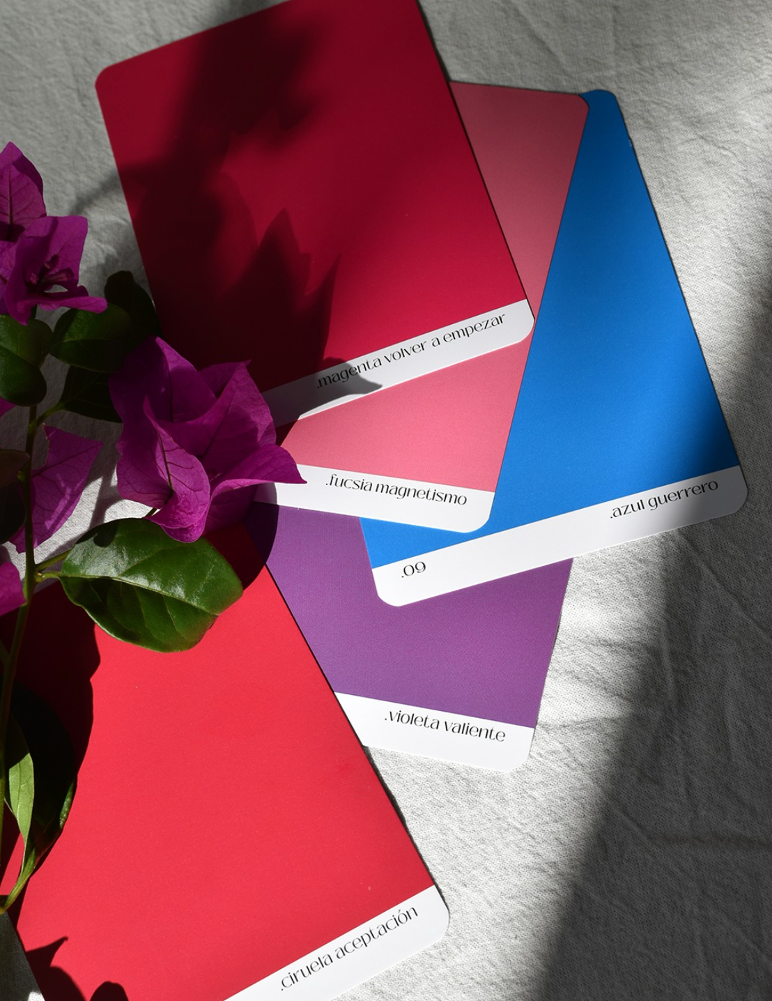 Oráculo ¨La banda del color¨