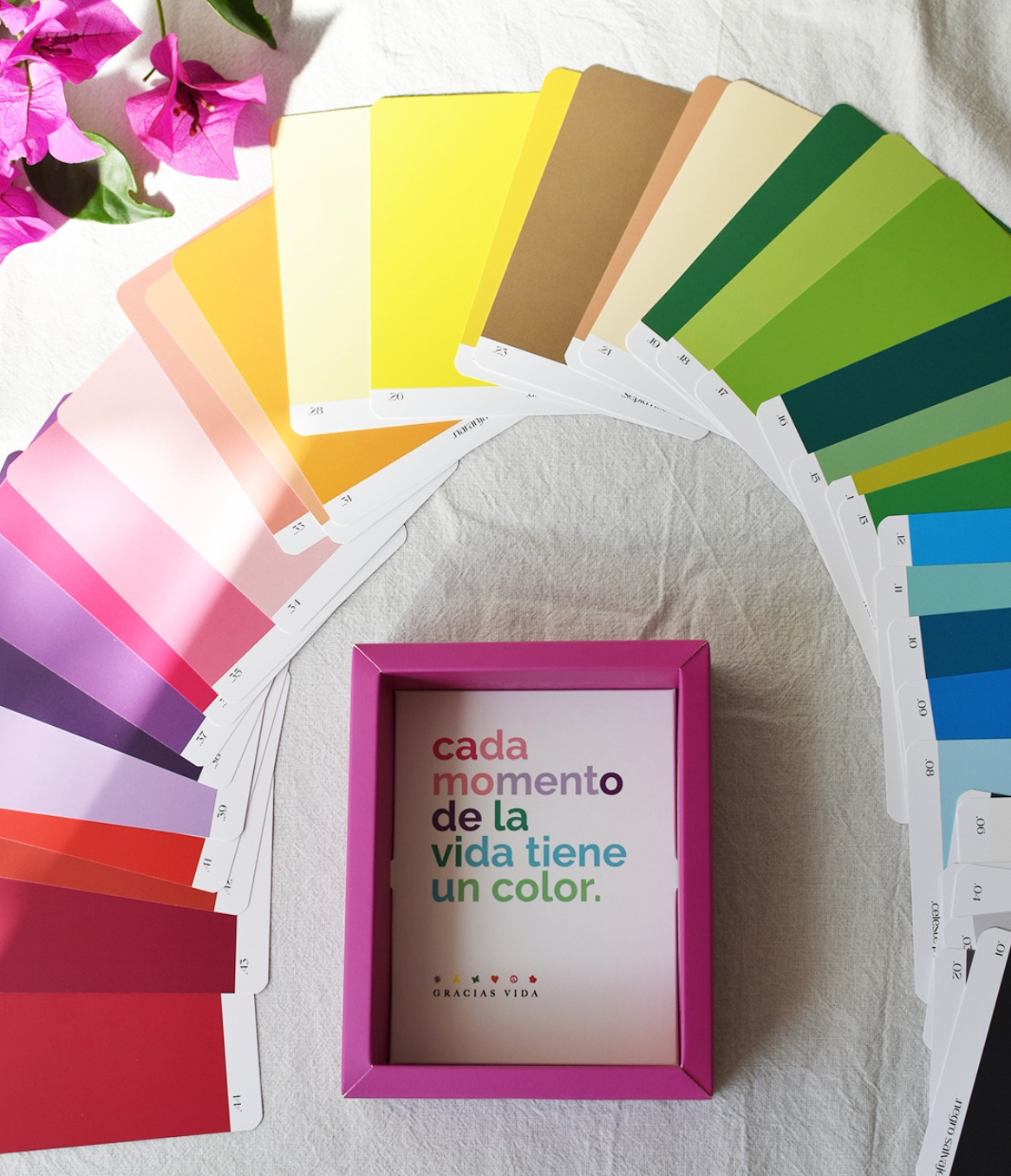 Oráculo ¨La banda del color¨