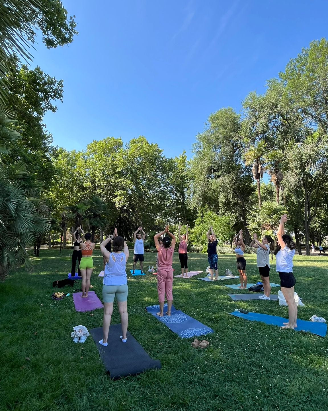 YOGA AL AIRE LIBRE