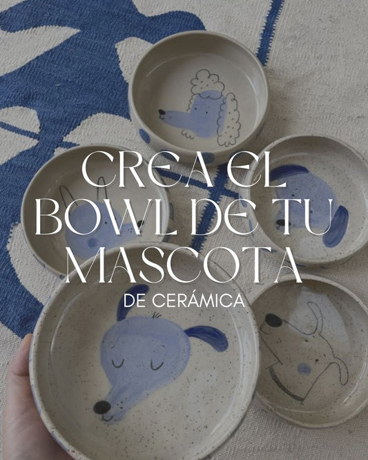 Crea el bowl de tu Mascota de cerámica